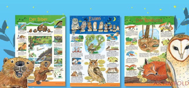 Der Biber – Baumeister am Wasser | Tierposter für Schule, Kinderzimmer | Wissensposter Natur Der Biber – Baumeister am Wasser | Tierposter für Schule, Kinderzimmer | Wissensposter Natur