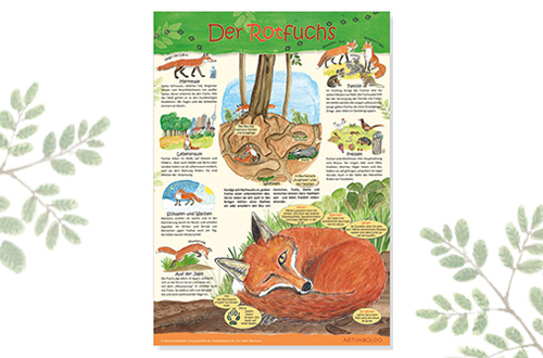Poster Fuchs