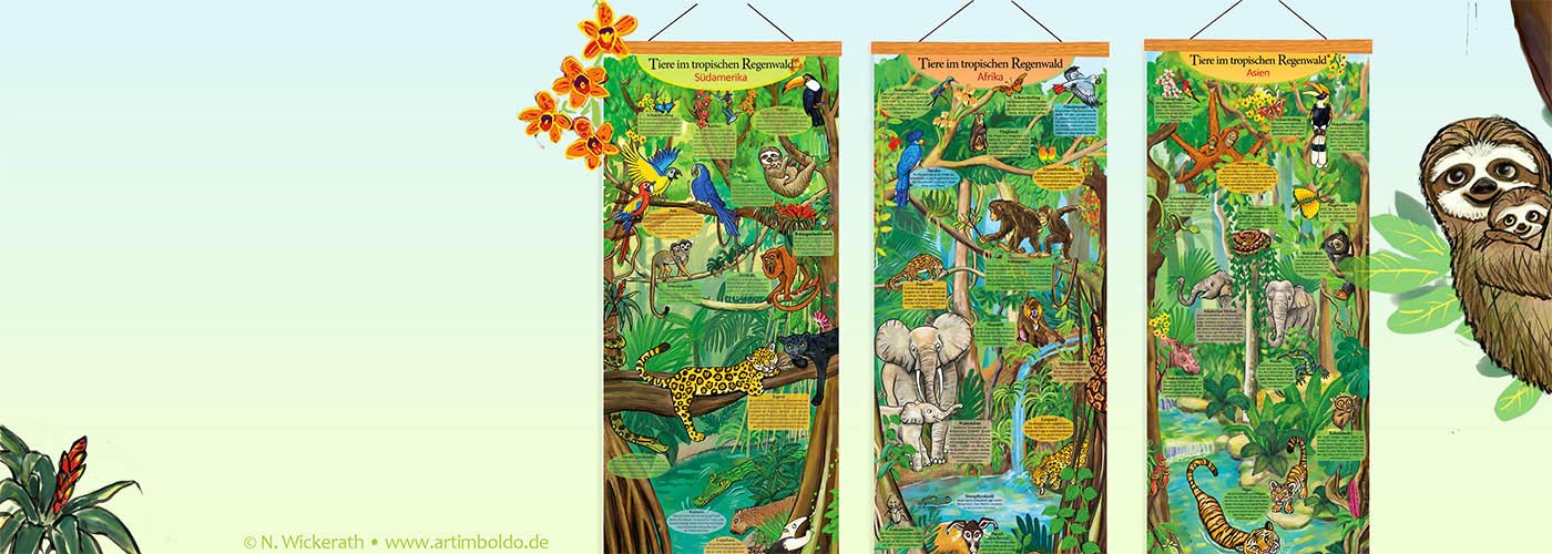 Slider Artimboldo_Lernposter-Karten-Buecher_Regenwald_PosterSerie_NW_2026_2