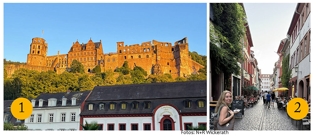 Heidelberg Schloss und Altstadt